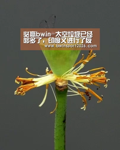 必赢bwin-太空垃圾已经够多了,印度又进行了反卫星试验,这些垃圾如何清理(图1) 必赢中国官网